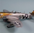 P-47 1 (800x533)