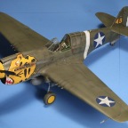Hasegawa P-40E Top view